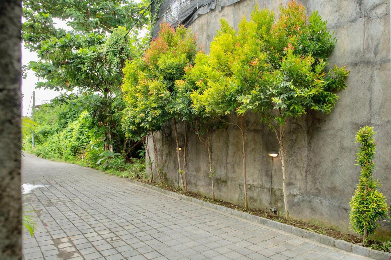 A7 Guesthouse Canggu Buitenkant foto